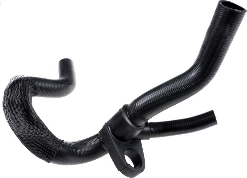 Gates 05-3146 -  -