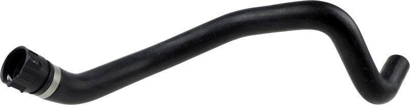 Gates 05-3167 -  -