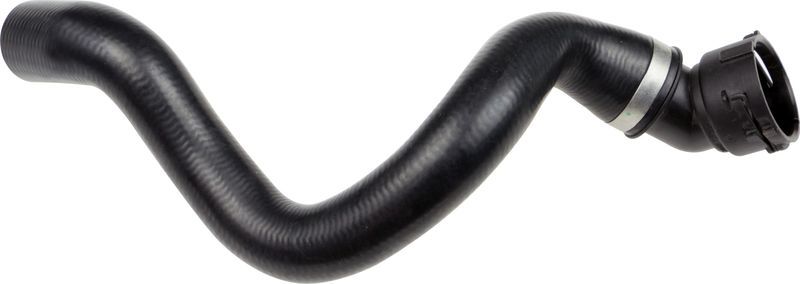 Gates 05-3251 -  -