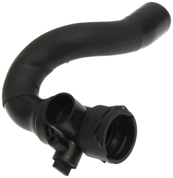 Gates 05-3331 -  -