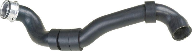 Gates 05-3364 -  -