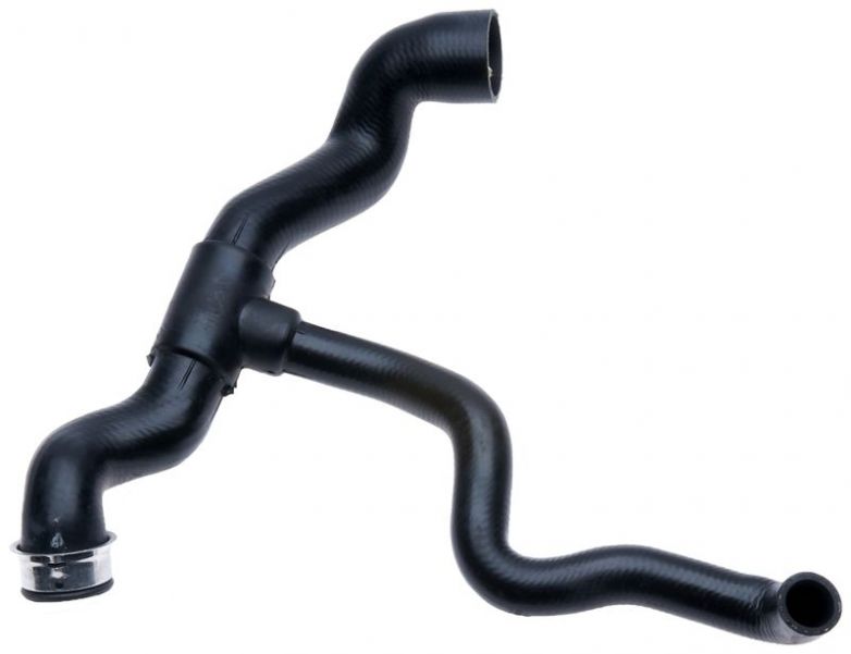 Gates 05-3365 -  -