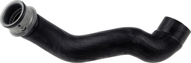 Gates 05-3389 -  -