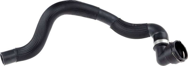 Gates 05-3431 -  -