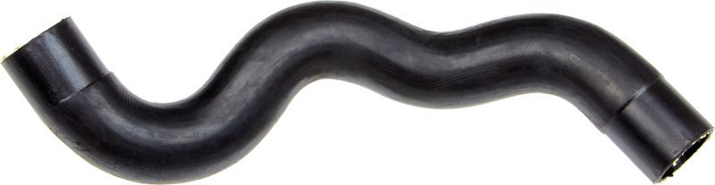 Gates 05-4124 -  -