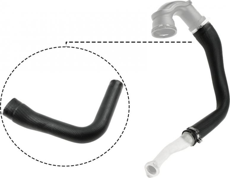 Gates 09-0169 -  -