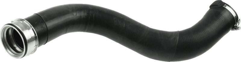 Gates 09-0295 -  -