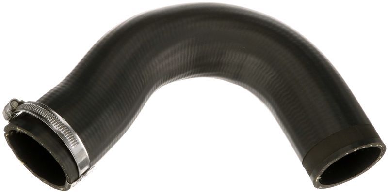 Gates 09-0299 -  -
