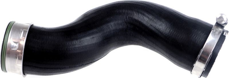 Gates 09-0384 -  -
