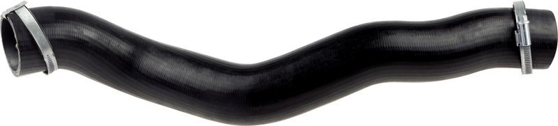 Gates 09-0442 -  -