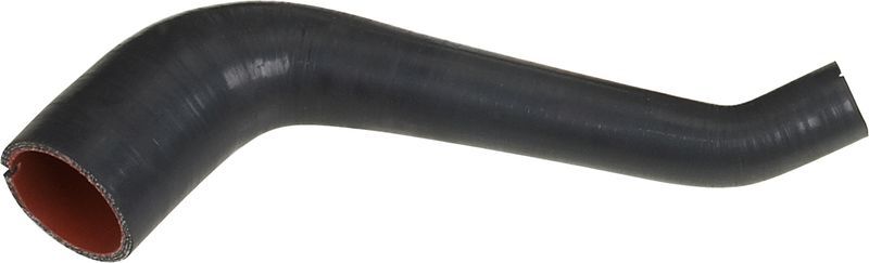 Gates 09-0462 -  -