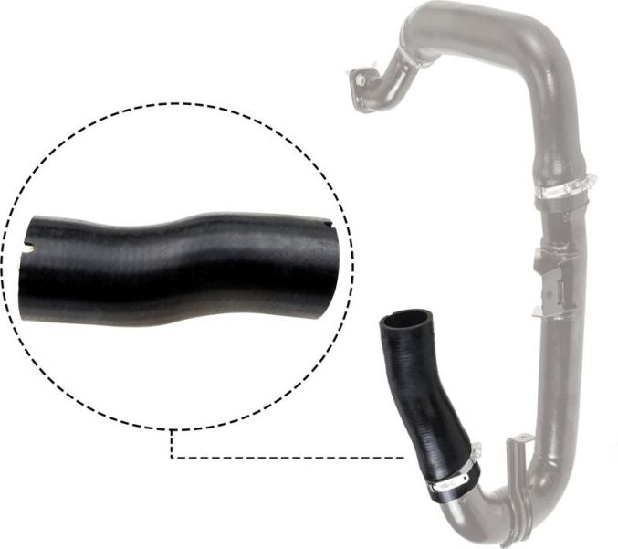 Gates 09-0479 -  -