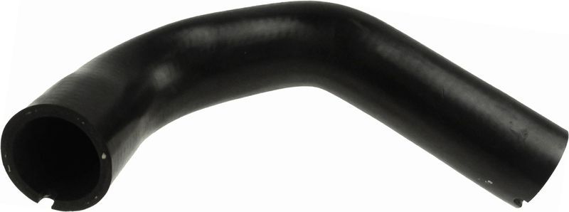 Gates 09-0483 -  -