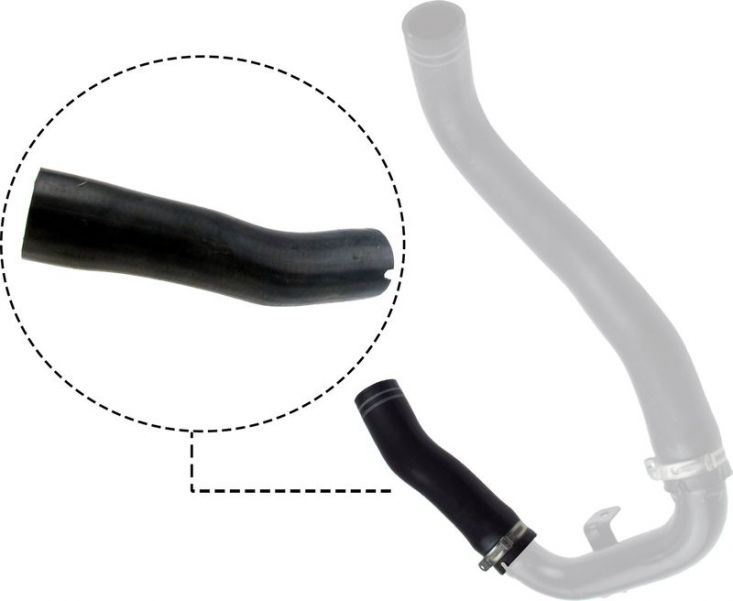 Gates 09-0486 -  -