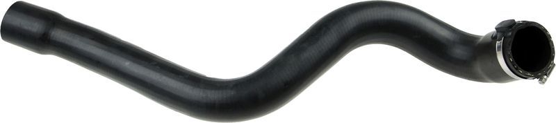 Gates 09-0519 -  -