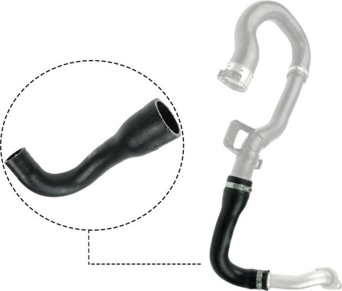 Gates 09-0681 -  -
