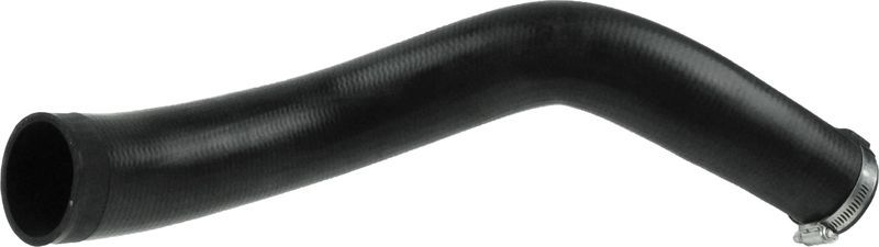 Gates 09-0768 -  -