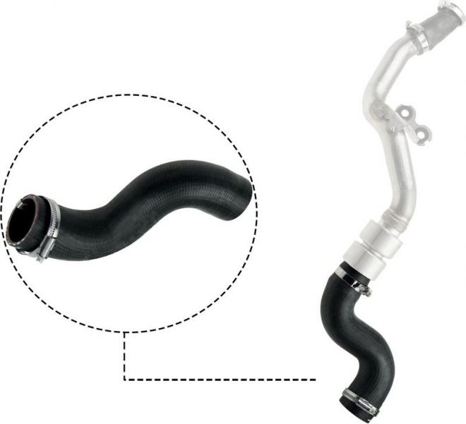 Gates 09-0573 -  -