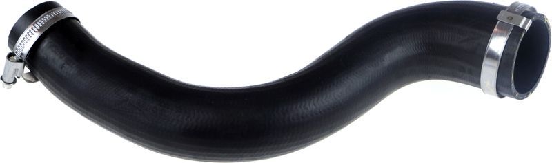 Gates 09-0581 -  -