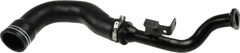 Gates 09-0895 -  -