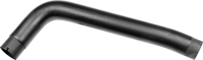 Gates 3921 -  -