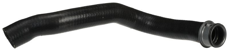 Gates 3958 -  -