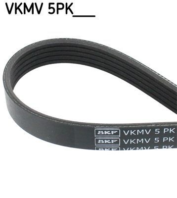 SKF VKMV 5PK1010
