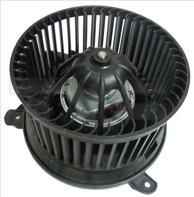 TYC 505-0005 -  -