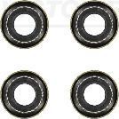 Reinz 12-24491-01 -  -