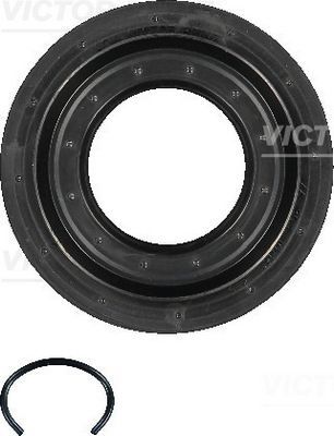 Reinz 15-31193-01 -  -