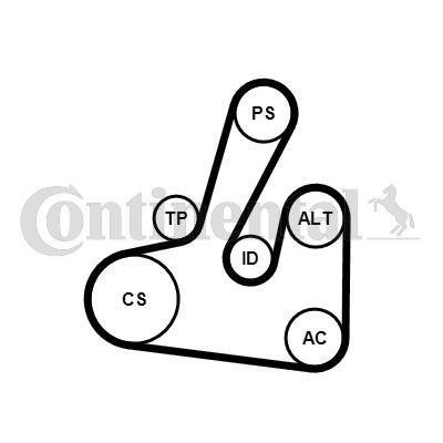Contitech 6PK1705K2
