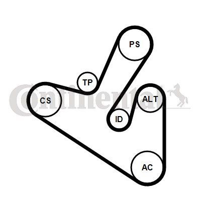 Contitech 6PK1710K1