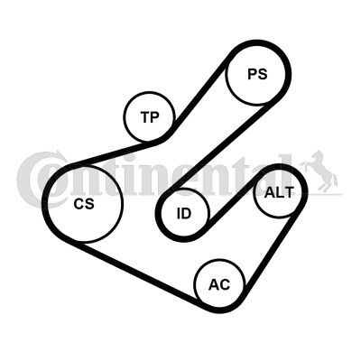 Contitech 7PK1795K2