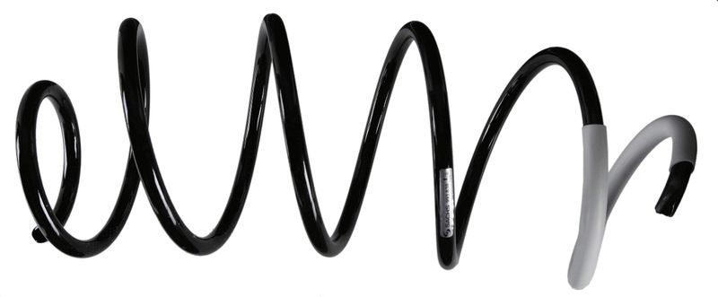 Sachs 993 838 - Pruženie -