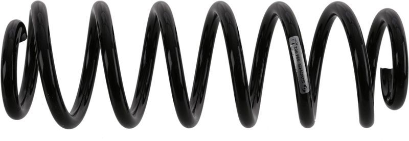 Sachs 994 962 - Pruženie -