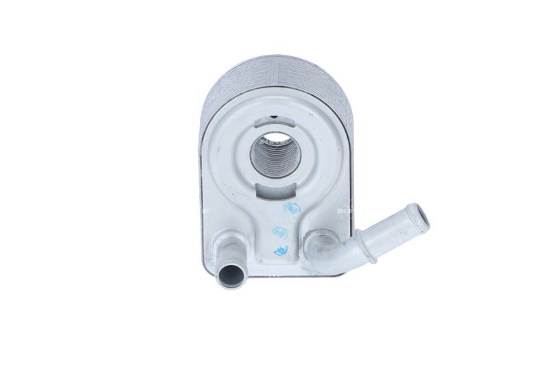 NRF 31069 -  -