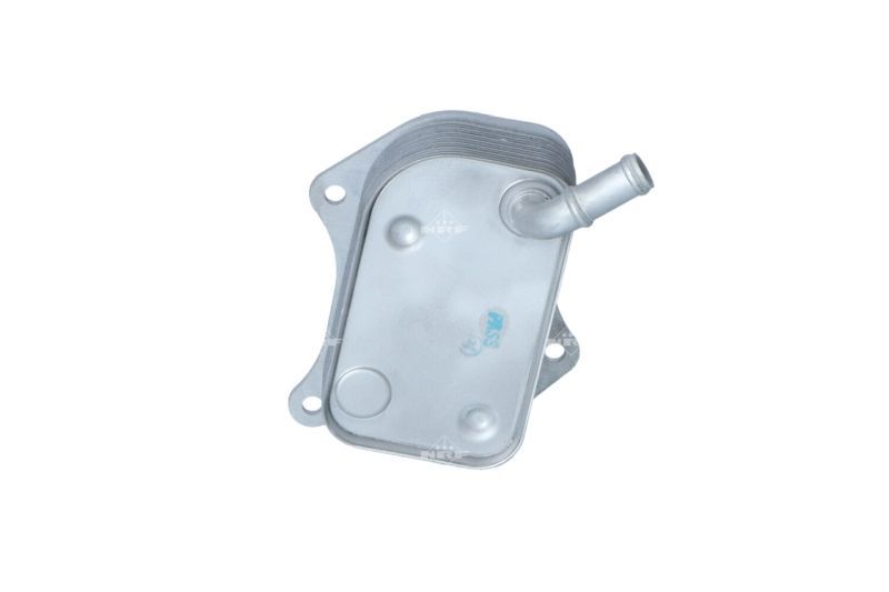 NRF 31237 -  -