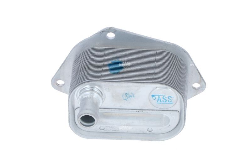 NRF 31298 -  -