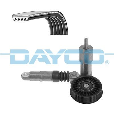 Dayco KPV254