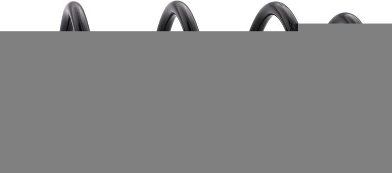 Sachs 994 838 - Pruženie -