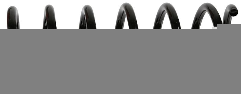 Sachs 994 824 - Pruženie -