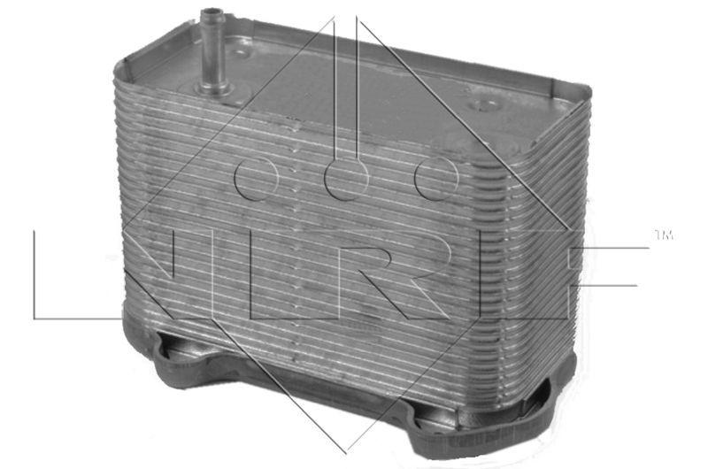 NRF 31291 -  -