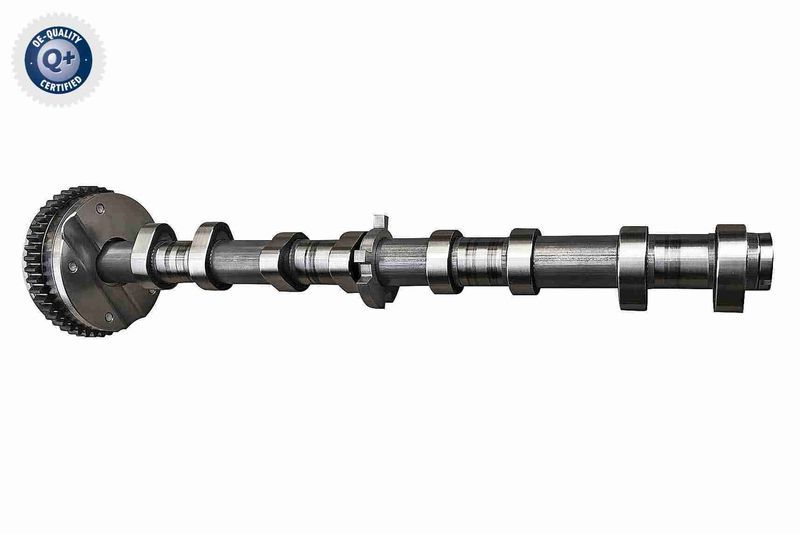 Vaico V10-5584 -  -