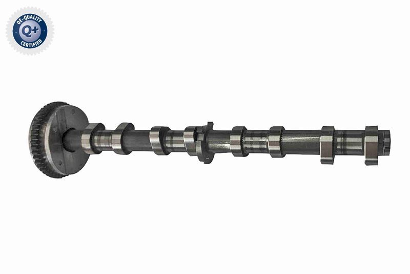 Vaico V10-5585 -  -