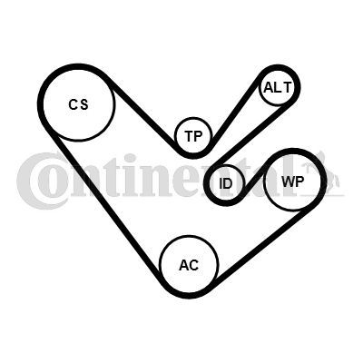 Contitech 6PK1555K4