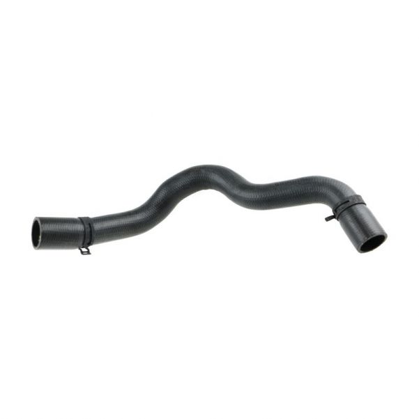 Gates 05-3559 -  -
