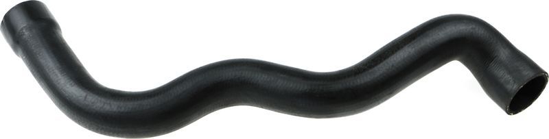 Gates 05-3387 -  -