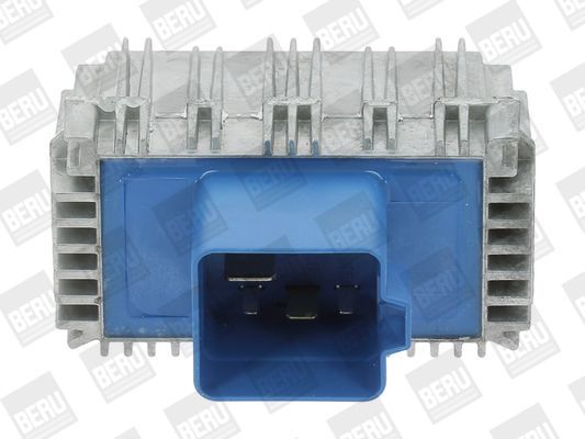Beru GSE142 -  -