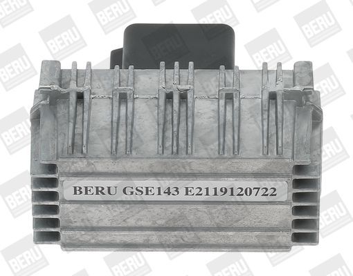 Beru GSE143 -  -