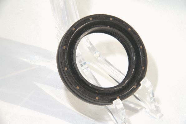 Corteco 01037048B -  -